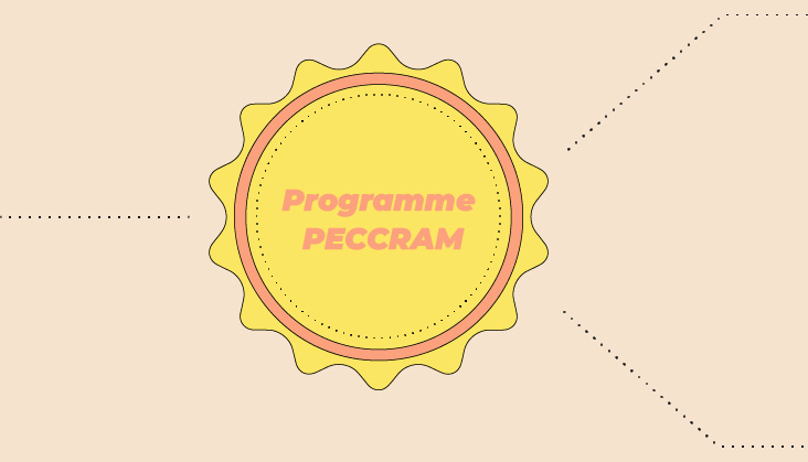 Programme peccram